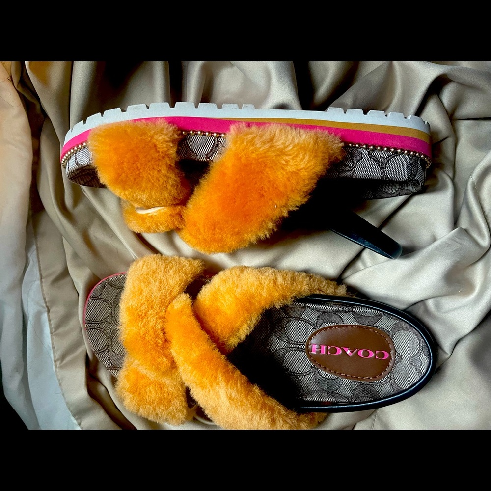 Coach tally sandal